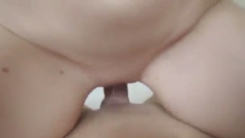 Belly Down Anal Porn